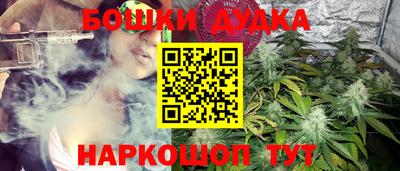 молекула духа Лесосибирск