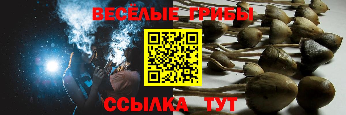 Псилоцибиновые грибы ЛСД Ухта